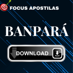 Apostila BANPARÁ